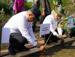 Hari Lingkungan Hidup, Pj Bupati Langkat Tanam 11.000 Pohon Mangrove