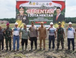 Langkat Dukungan Ketahanan Pangan Dengan Tanam Jagung 1 Juta Hektare