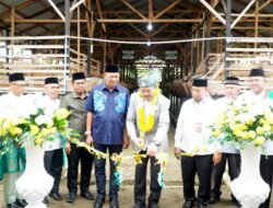 Syah Afandin Targetkan Balai Ternak Baznas Hingga ke Kecamatan untuk Bangkitkan Ekonomi Masyarakat