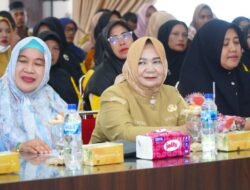 Wakil Bupati Langkat Buka Workshop Integrasi Data Program Sehati Bunda