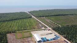 Salut!!! Oknum Kapolsek di Langkat Sulap Hutan Lindung Jadi Kebun Sawit