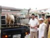 Bupati dan Wakil Bupati Langkat Berbagi Hewan Qurban untuk Warga Besilam